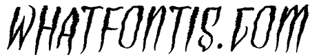 Haunted Vampire Italic