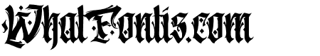 Aveinatortia-Regular