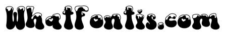 Wintersnow Holidays3