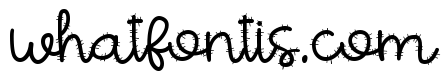 NA FANCACTUS Medium