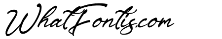 Driscutty Signature Italic