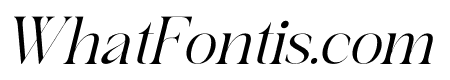 Branden Raulner Italic