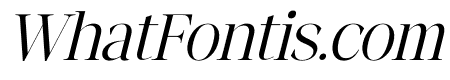 fangira Italic