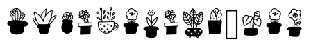 Cute Cactus Regular