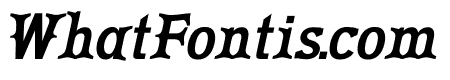 BORGER Italic