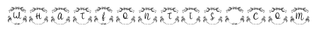 Sarimin Monogram