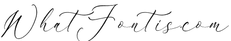 Veganzone Armstrong Script Italic