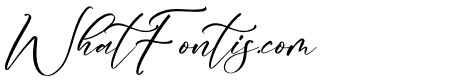 Qorytona Italic