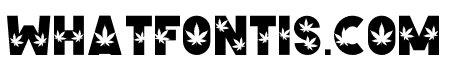 Cannabis