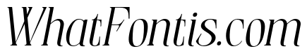 ElphadoraItalic-Medium