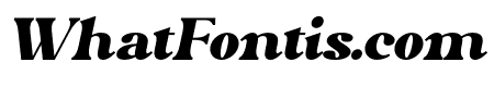 Perfect Colony Italic