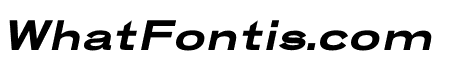 PONIOM ITALIC