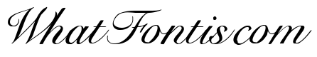 New York Font Italic