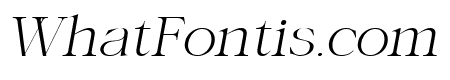 Asking Ladies Italic