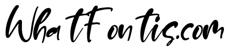 Maldonado Italic