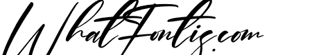Plasmatic Signature Italic