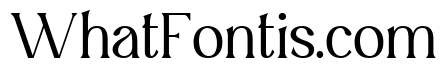 Qochy DEMO Regular