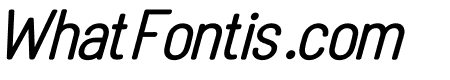 Linguineve Regular Italic