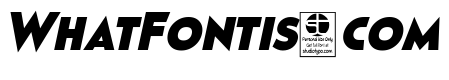 Pages Grotesque Black Demo Italic