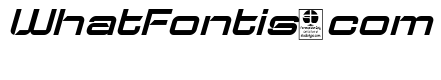 Typo Speed Demo Italic