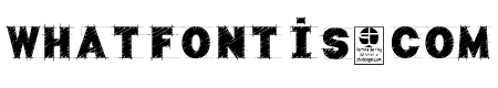 Typo Draft Demo