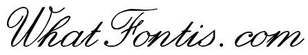 zai Italic Hand Calligraphy