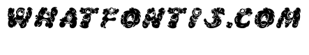 Komo Nout inline