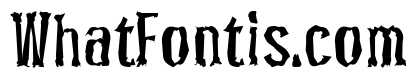 Pocus Primera Distorted 400 Condensed