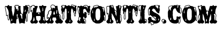 Porno Circus