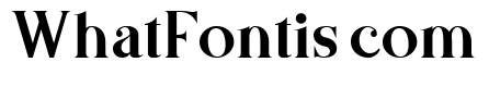 Basics Serif Free Regular