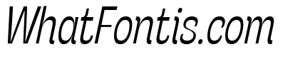 Stinger Slim Trial Light Italic