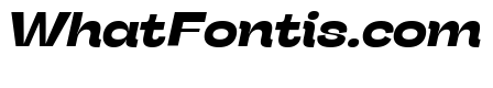 Stinger Wide Trial Bold Italic