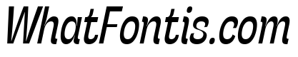 Stinger Slim Trial Italic