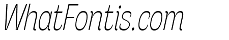 Stinger Slim Trial Thin Italic