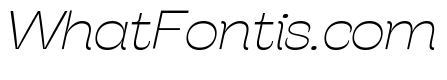 Stinger Wide Trial Thin Italic