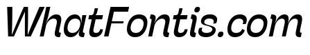 Stinger Trial Italic
