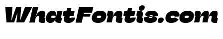 Stinger Fit Trial Heavy Italic