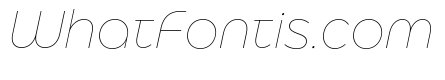 Eastman Alternate Trial Thin Italic