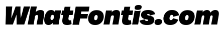 Milligram Trial Heavy Italic