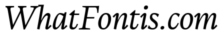 CalvinoTrial Book Italic