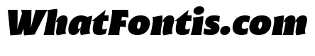 Malik Trial Heavy Display Italic