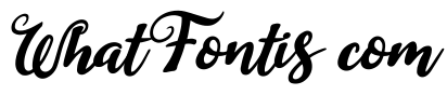 Duck in Shipah Italic