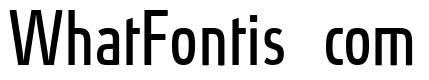 Absolut Condensed Reduced Book