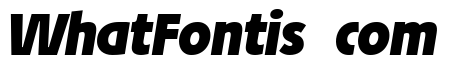 Josef Reduced Black Italic