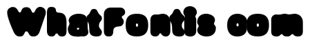 DeFonte Reduced Gros