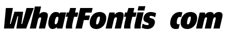 EconoSansRed-96BlackItalic