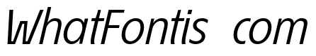 EconoSansRed-56Italic