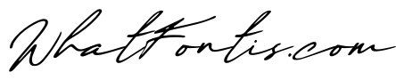 Maddison Signature DEMO oblique DEMO