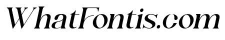 Shandora DEMO Italic