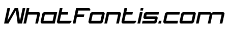 What The FUN Italic
